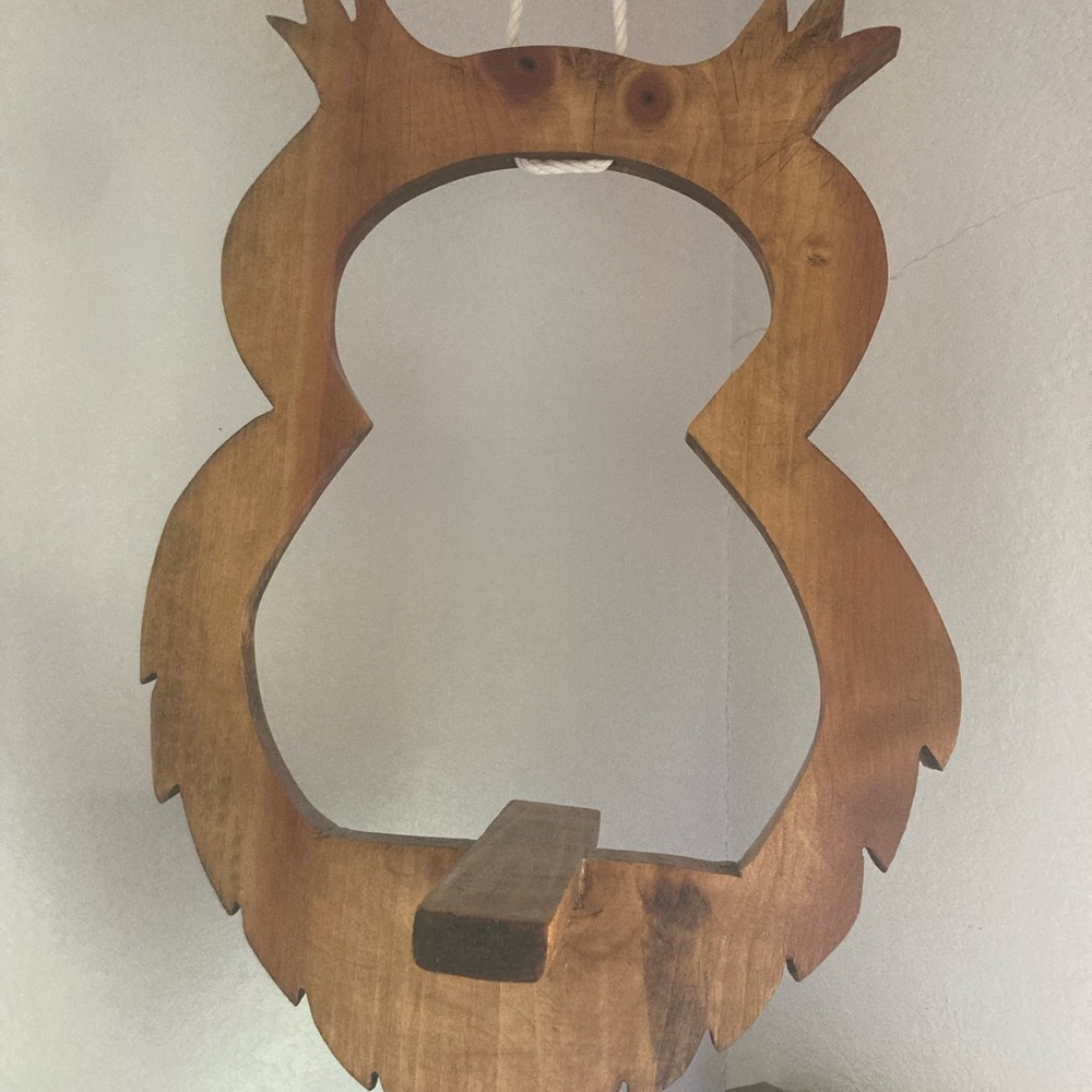Unique handmade wood owl Hanging Planter